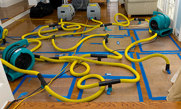 Professional Water Extraction technician working in Highwood, IL